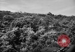 Image of French forces Algeria, 1954, second 16 stock footage video 65675056012