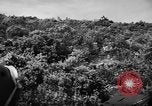 Image of French forces Algeria, 1954, second 18 stock footage video 65675056012