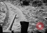 Image of French forces Algeria, 1954, second 20 stock footage video 65675056012