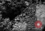 Image of French forces Algeria, 1954, second 38 stock footage video 65675056012
