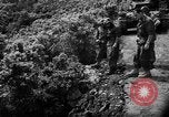 Image of French forces Algeria, 1954, second 40 stock footage video 65675056012