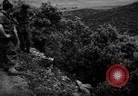 Image of French forces Algeria, 1954, second 42 stock footage video 65675056012