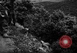 Image of French forces Algeria, 1954, second 43 stock footage video 65675056012