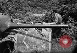 Image of French forces Algeria, 1954, second 59 stock footage video 65675056012