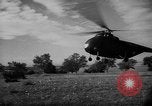 Image of French forces Algeria, 1954, second 3 stock footage video 65675056013