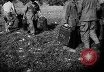 Image of French forces Algeria, 1954, second 5 stock footage video 65675056013