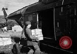 Image of French forces Algeria, 1954, second 13 stock footage video 65675056013