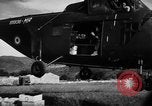 Image of French forces Algeria, 1954, second 19 stock footage video 65675056013