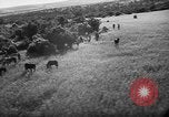 Image of French forces Algeria, 1954, second 26 stock footage video 65675056013