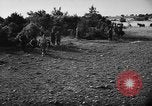 Image of French forces Algeria, 1954, second 30 stock footage video 65675056013