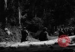 Standbild französischen Streitkräfte Algerien, 1954, aus Sekunde 15 historischem Filmmaterial Videoclip 65675056018