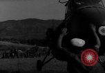 Standbild französischen militärischen Operationen in Nordafrika Algerien, 1954, aus Sekunde 50 historischem Filmmaterial Videoclip 65675056019