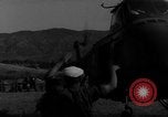 Standbild französischen militärischen Operationen in Nordafrika Algerien, 1954, aus Sekunde 51 historischem Filmmaterial Videoclip 65675056019