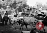 Image of French Forces North Africa, 1954, second 26 stock footage video 65675056023