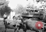 Image of French Forces North Africa, 1954, second 28 stock footage video 65675056023