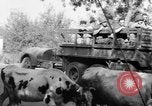 Image of French Forces North Africa, 1954, second 29 stock footage video 65675056023