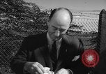 Immagine di Adlai Stevenson California United States USA, 1956, secondo 23 filmato di repertorio 65675056026