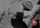 Immagine di Francese ingegneri militari Il Nord Africa, 1954, secondo 44 filmato di repertorio 65675056027