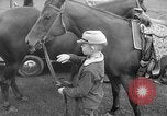 Standbild Dwight Eisenhower Gettysburg Pennsylvania USA, 1956, aus Sekunde 5 historischem Filmmaterial Videoclip 65675056028
