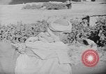 Image of French troops Algeria, 1954, second 14 stock footage video 65675056038