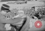 Image of French troops Algeria, 1954, second 17 stock footage video 65675056038