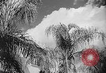 Image of French official Algeria, 1954, second 8 stock footage video 65675056039