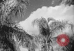 Image of French official Algeria, 1954, second 9 stock footage video 65675056039