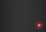 Image of News conference Morocco North Africa, 1955, second 40 stock footage video 65675056040