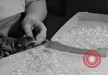 Image of Refugee Assistance Europe, 1951, second 29 stock footage video 65675056046