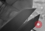 Image of Refugee Assistance Europe, 1951, second 33 stock footage video 65675056046
