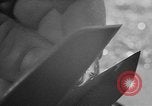 Image of Refugee Assistance Europe, 1951, second 34 stock footage video 65675056046