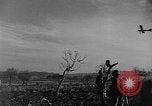 Image of French military operations Algeria, 1954, second 10 stock footage video 65675056048