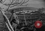 Image of French military operations Algeria, 1954, second 13 stock footage video 65675056048
