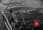 Image of French military operations Algeria, 1954, second 14 stock footage video 65675056048