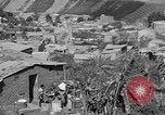 Immagine di Anastascio Somoza Garcia Nicaragua, 1955, secondo 36 filmato di repertorio 65675056049