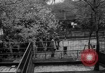 Standbild Kaiser Hirohito visits Tokyo Japan zoo Tokyo Japan, 1950, aus Sekunde 25 historischem Filmmaterial Videoclip 65675056053