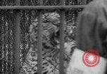 Standbild Kaiser Hirohito visits Tokyo Japan zoo Tokyo Japan, 1950, aus Sekunde 33 historischem Filmmaterial Videoclip 65675056053
