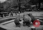 Standbild Kaiser Hirohito visits Tokyo Japan zoo Tokyo Japan, 1950, aus Sekunde 54 historischem Filmmaterial Videoclip 65675056053