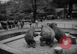 Standbild Kaiser Hirohito visits Tokyo Japan zoo Tokyo Japan, 1950, aus Sekunde 55 historischem Filmmaterial Videoclip 65675056053