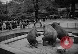Standbild Kaiser Hirohito visits Tokyo Japan zoo Tokyo Japan, 1950, aus Sekunde 56 historischem Filmmaterial Videoclip 65675056053