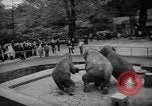 Standbild Kaiser Hirohito visits Tokyo Japan zoo Tokyo Japan, 1950, aus Sekunde 57 historischem Filmmaterial Videoclip 65675056053