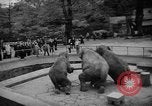 Standbild Kaiser Hirohito visits Tokyo Japan zoo Tokyo Japan, 1950, aus Sekunde 58 historischem Filmmaterial Videoclip 65675056053
