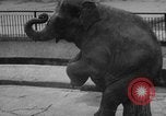 Standbild Kaiser Hirohito visits Tokyo Japan zoo Tokyo Japan, 1950, aus Sekunde 60 historischem Filmmaterial Videoclip 65675056053