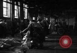 Image of activities at slaughterhouse Germany, 1946, second 8 stock footage video 65675056076