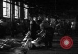 Image of activities at slaughterhouse Germany, 1946, second 10 stock footage video 65675056076