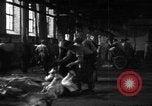 Image of activities at slaughterhouse Germany, 1946, second 11 stock footage video 65675056076