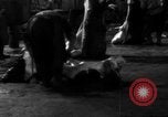Image of activities at slaughterhouse Germany, 1946, second 13 stock footage video 65675056076