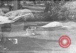 Standbild Black Market Operator Deutschland, 1946, aus Sekunde 49 historischem Filmmaterial Videoclip 65675056081