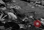 Standbild Menschen Suche durch dump Deutschland, 1946, aus Sekunde 10 historischem Filmmaterial Videoclip 65675056082