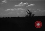 Immagine di Cavallo aratro Heidelberg Germania, 1946, secondo 8 filmato di repertorio 65675056084